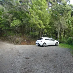 Opua Forest Walks - Kerikeri