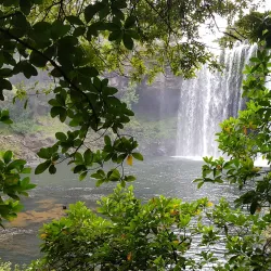Rainbow Falls Scenic Reserve - Kerikeri