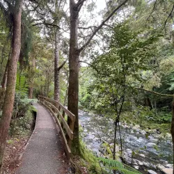 Rainbow Falls Scenic Reserve - Kerikeri