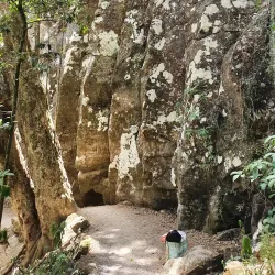 Rainbow Falls (Waianiwaniwa) - Kerikeri
