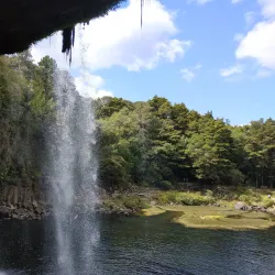 Rainbow Falls (Waianiwaniwa) - Kerikeri