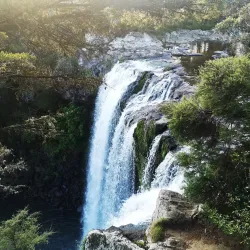 Rainbow Falls (Waianiwaniwa) - Kerikeri