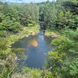 Rainbow Falls (Waianiwaniwa) - Kerikeri