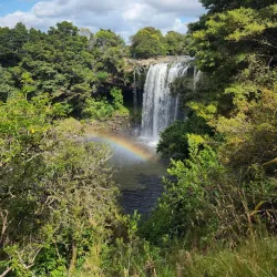 Rainbow Falls (Waianiwaniwa) - Kerikeri