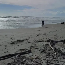 Foxton Beach - Levin