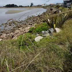 Foxton Beach - Levin