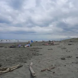 Foxton Beach - Levin