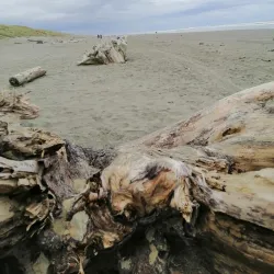 Foxton Beach - Levin