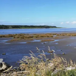 Foxton Beach - Levin