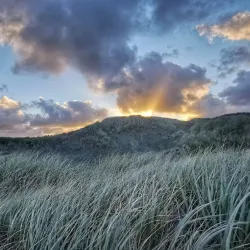 Foxton Beach - Levin
