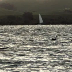 Lake Horowhenua - Levin