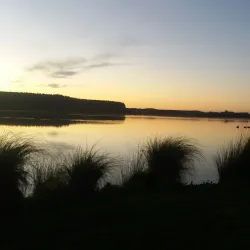 Lake Horowhenua - Levin