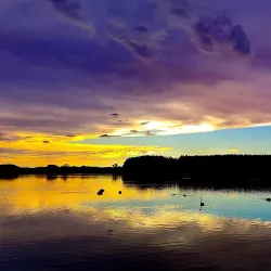 Lake Horowhenua - Levin