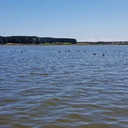 Lake Horowhenua - Levin