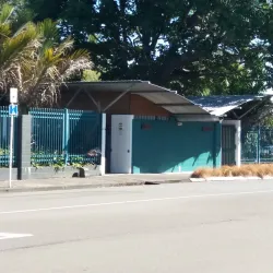 Levin Domain - Levin