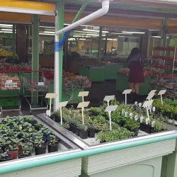 Levin Farmers Market - Levin