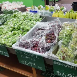 Levin Farmers Market - Levin