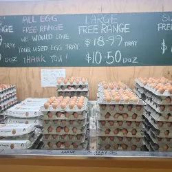 Levin Farmers Market - Levin