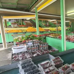 Levin Farmers Market - Levin