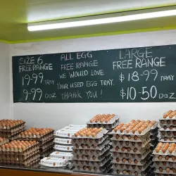 Levin Farmers Market - Levin