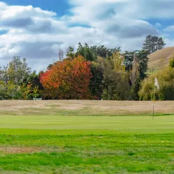 Levin Golf Club - Levin