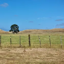 Levin Golf Club - Levin