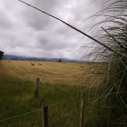 Levin Golf Club - Levin