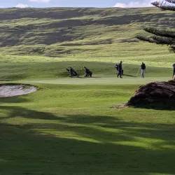 Levin Golf Club - Levin