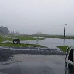 Levin Golf Club - Levin