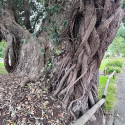 Moutoa Gardens - Levin