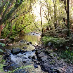 Belmont Regional Park - Lower Hutt
