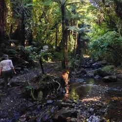 Belmont Regional Park - Lower Hutt