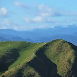 Belmont Regional Park - Lower Hutt
