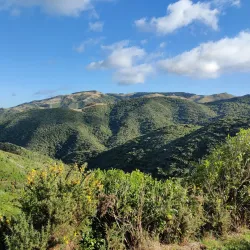 Belmont Regional Park - Lower Hutt