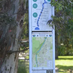 Hutt River Trail - Lower Hutt