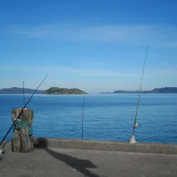Petone Foreshore - Lower Hutt