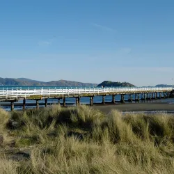 Petone Foreshore - Lower Hutt