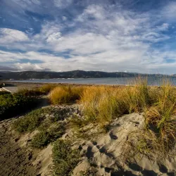 Petone Settlers Museum - Lower Hutt