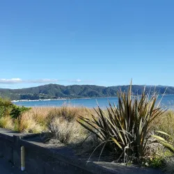Petone Settlers Museum - Lower Hutt