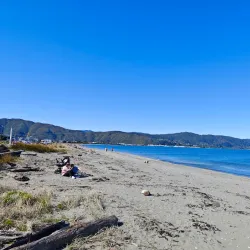 Petone Settlers Museum - Lower Hutt