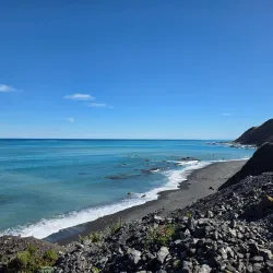 Rimutaka Forest Park - Lower Hutt