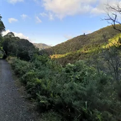 Rimutaka Forest Park - Lower Hutt
