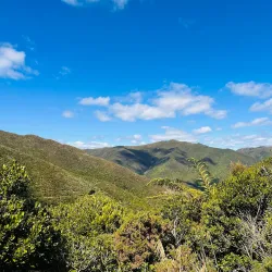 Rimutaka Forest Park - Lower Hutt