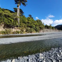 Rimutaka Forest Park - Lower Hutt