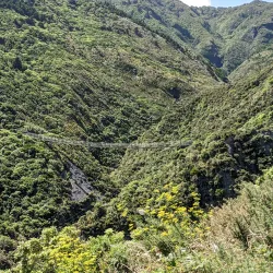 Rimutaka Forest Park - Lower Hutt