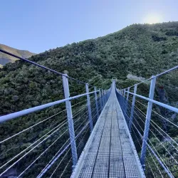 Rimutaka Forest Park - Lower Hutt