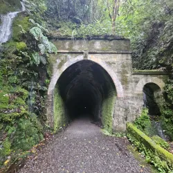 Rimutaka Forest Park - Lower Hutt