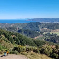 Rimutaka Forest Park - Lower Hutt