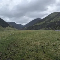 Rimutaka Forest Park - Lower Hutt