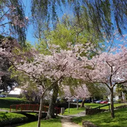 Riversdale Park - Lower Hutt